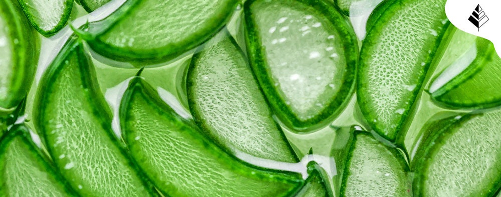 Aloe Vera Benefici