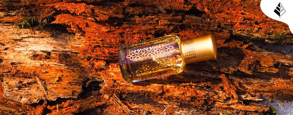 Migliori Profumi Oud per l'Autunno