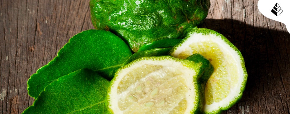 Profumi al Bergamotto