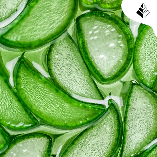 Aloe Vera Benefici