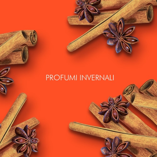 Profumi invernali: scopri come rendere magiche le feste!