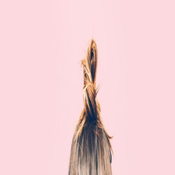 capelli crespi e secchi