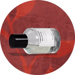 Fragrance