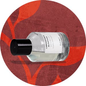 Fragrance
