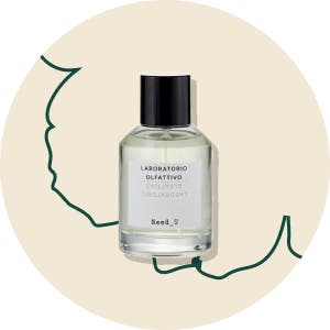 Fragrance