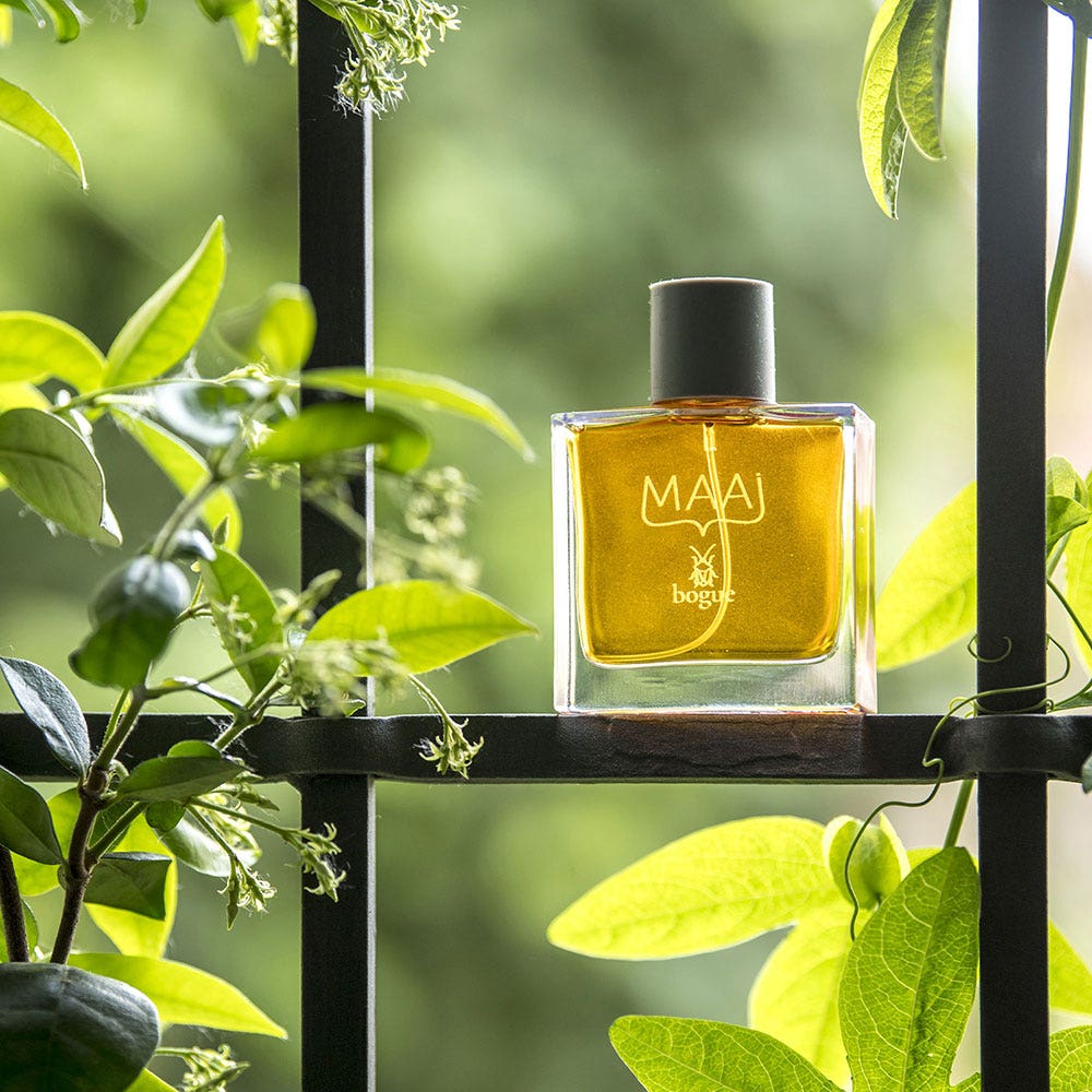 送料無料商品 |  公式 オンライン Extrait Maai Bogue De ml 50 | Oriental Amber Parfum, 香水(ユニセックス)