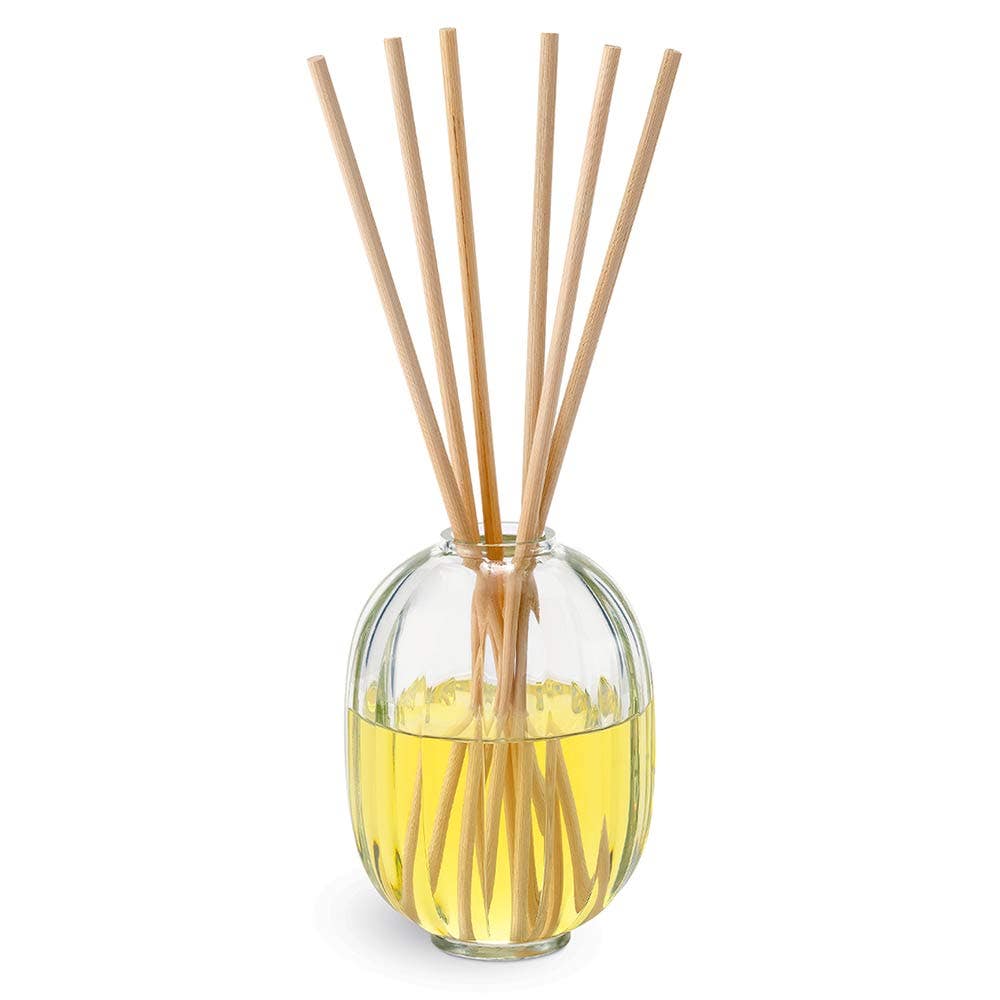 Image of Diptyque - Citronelle Diffusore a Bastoncini - Diffusore Per Ambienti Aromatico