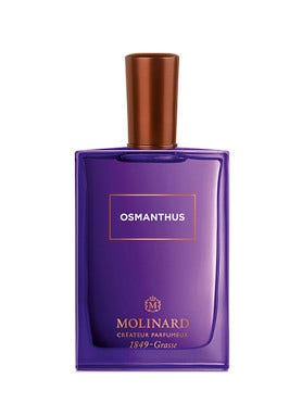 Molinard figue shop