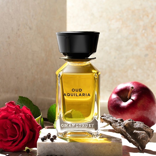 Expensive oud perfume discount price