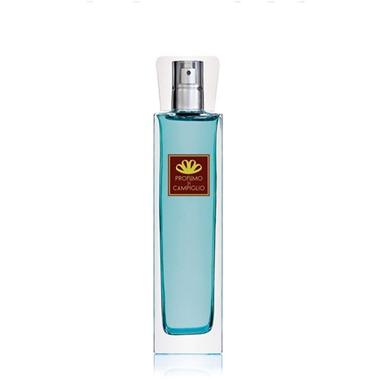 Image of Profumo di Campiglio - Note di Bosco Diffusore 100 ml spray - Diffusore Per Ambienti Fougère