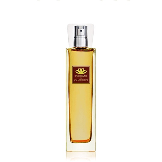 Image of Profumo di Campiglio - Speziato Diffusore 100 ml spray - Diffusore Per Ambienti Legnoso