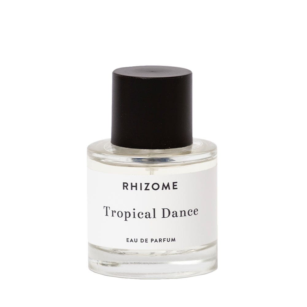 The dance 2025 perfume