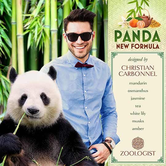 Panda hotsell perfumes uk